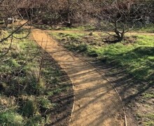 Path 1
