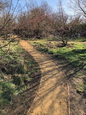 Path 1