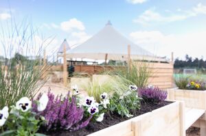 37 katielister burhill25